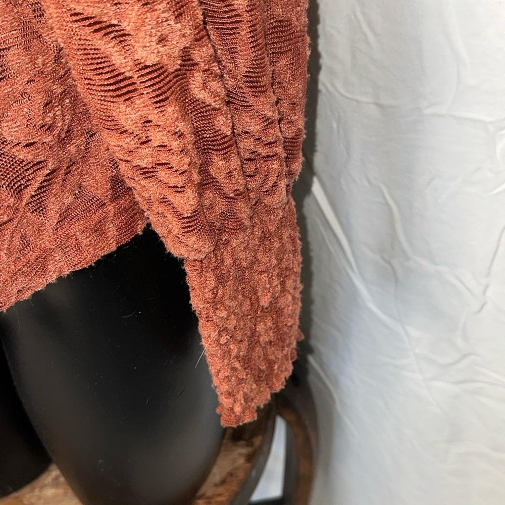 Anthropologie Deletta Amana Burnout Lace Top Size S Smocked Sheer Mockneck N18 - Picture 5 of 6